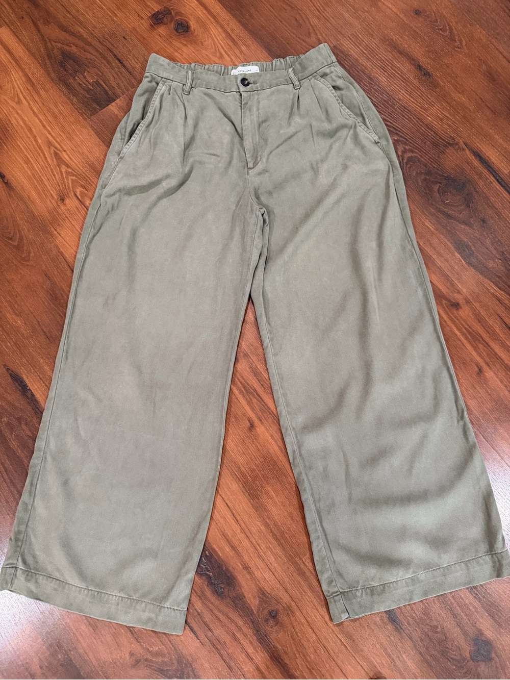 Everlane Women's Size 10 Olive Green Tencel  high waisted wide leg Pants